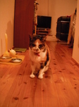 DSCF1670.jpg