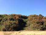 IMG_0044.JPG